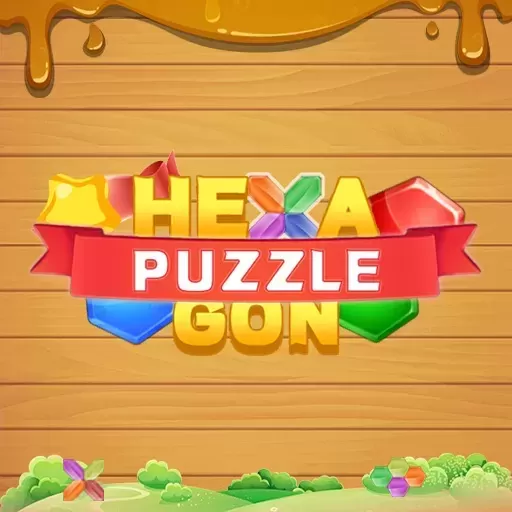 Hexagon Puzzle